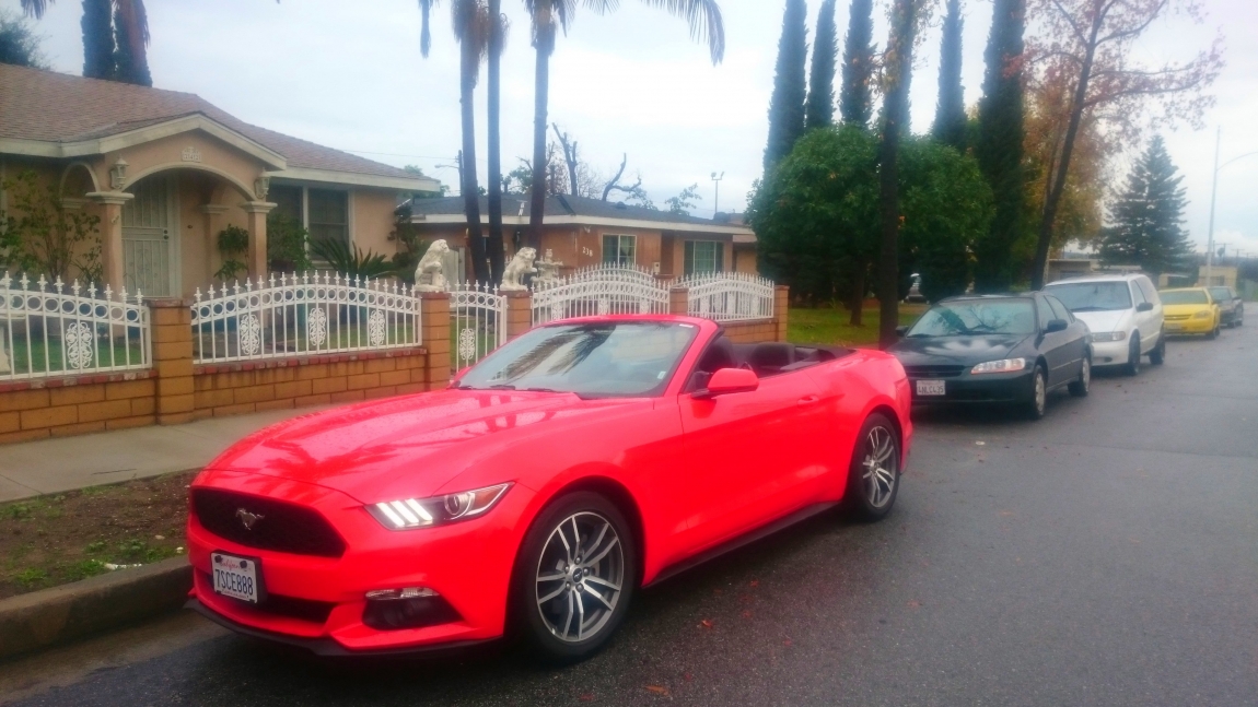 Red Mustang